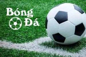 Quy Định Bóng Trong Cuộc Và Bóng Ngoài Cuộc Để Thi Đấu Đúng Luật