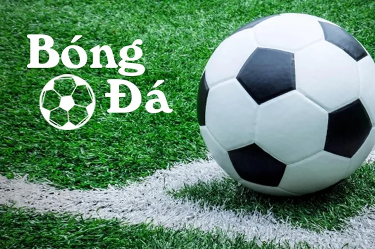 Quy Định Bóng Trong Cuộc Và Bóng Ngoài Cuộc Để Thi Đấu Đúng Luật