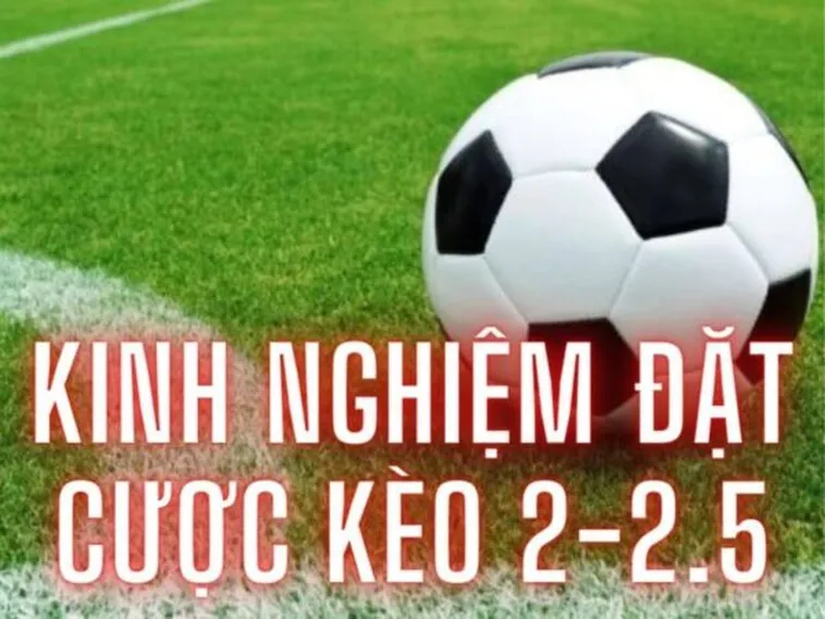 Bí Quyết Chinh Phục Kèo 2.25 Luôn Thắng Từ Các Chuyên Gia Cá Cược
