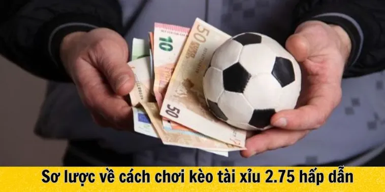 Bí Quyết Chinh Phục Kèo 2.75 Với Những Số Liệu Thống Kê Vàng